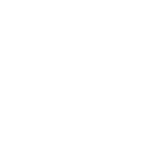 logo_viv_tekst_wit
